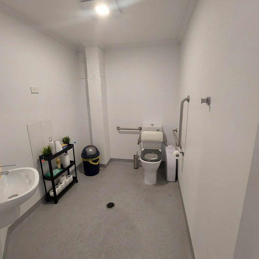 Image of interior of a disable toilet